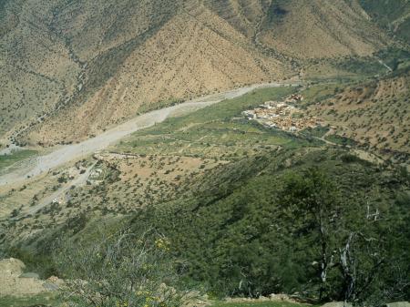     assads    c mon blad