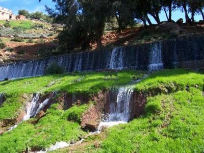           kif     kan       assads