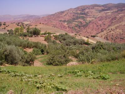 choufou   lkh&eacute;&eacute;r